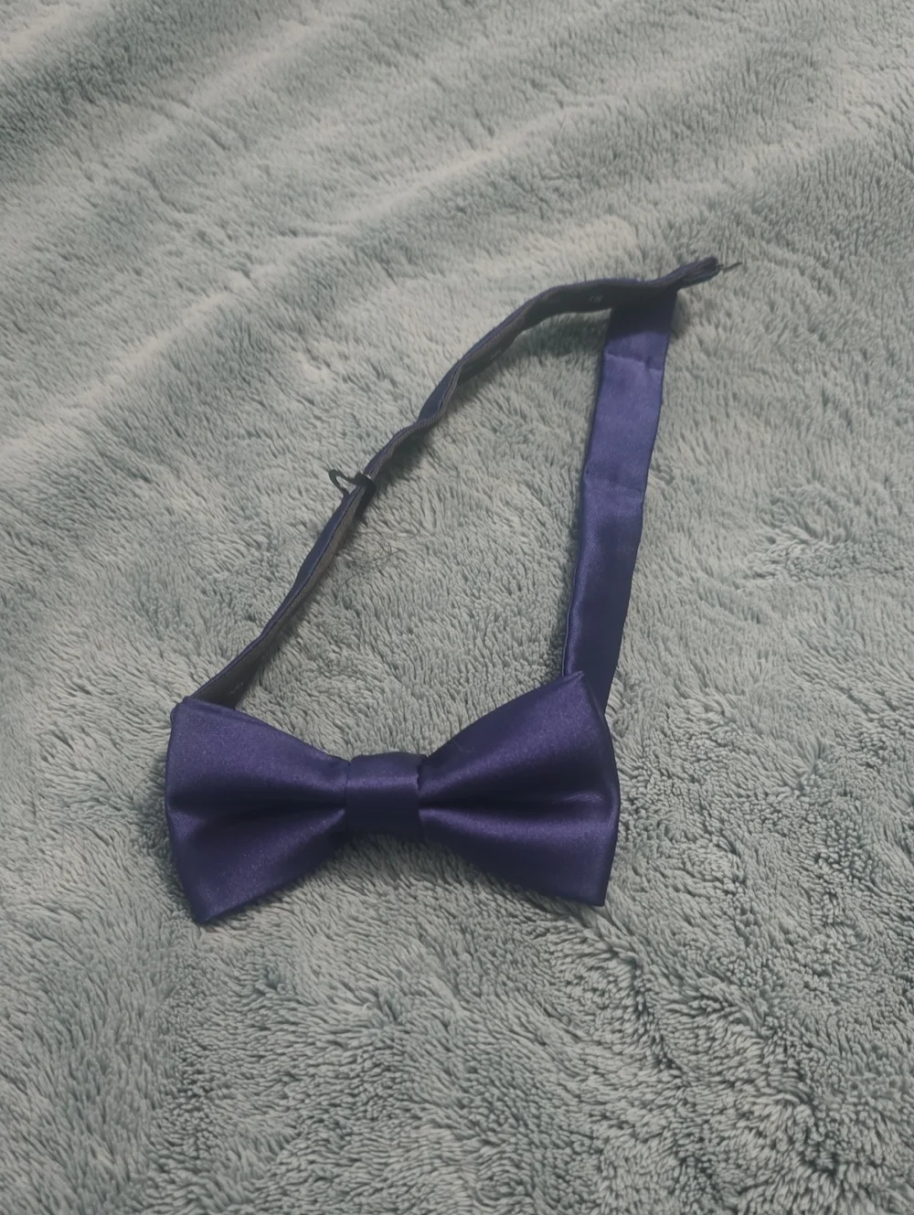 Egara Purple Satin Bow Tie